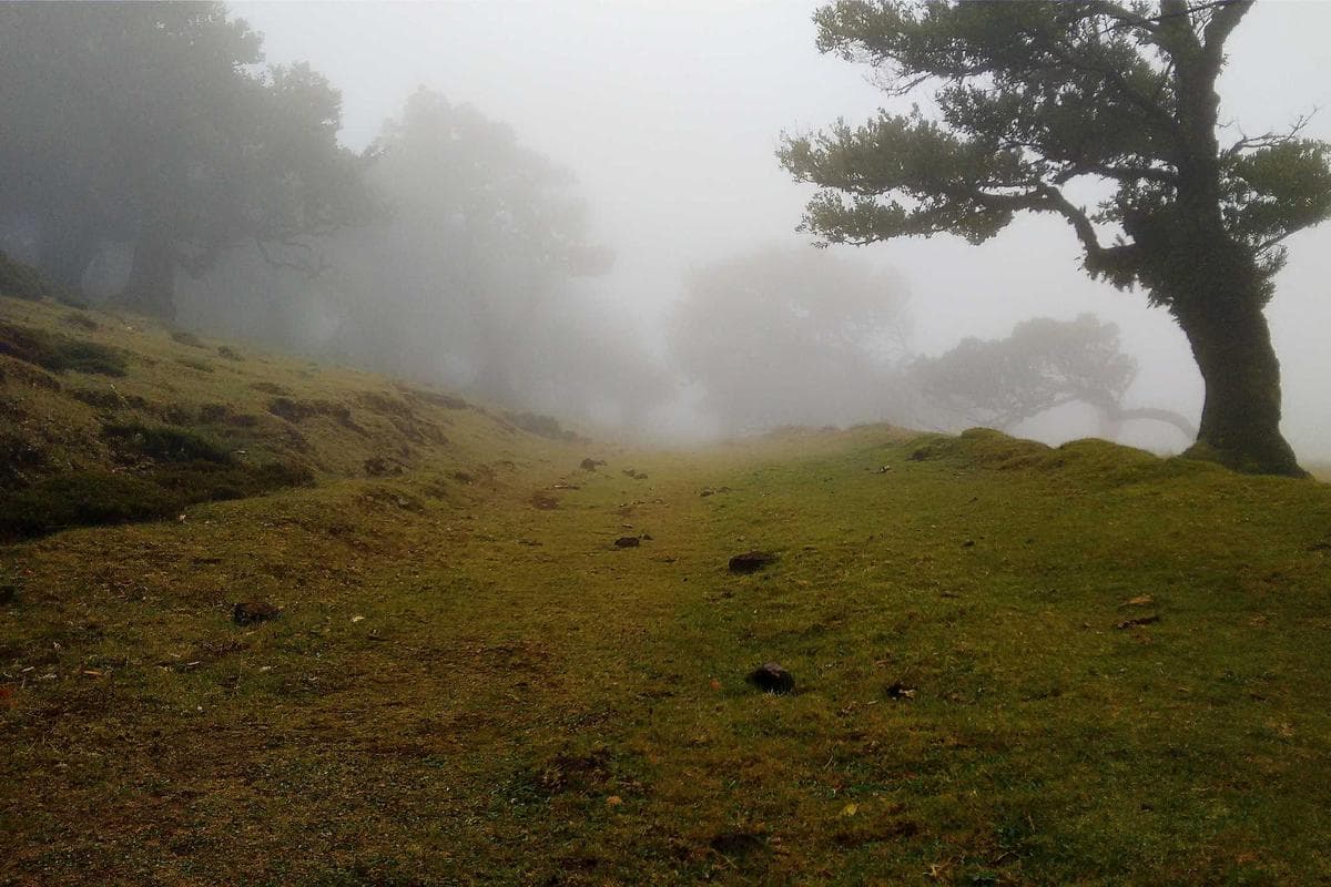 Бухта Стеклянная