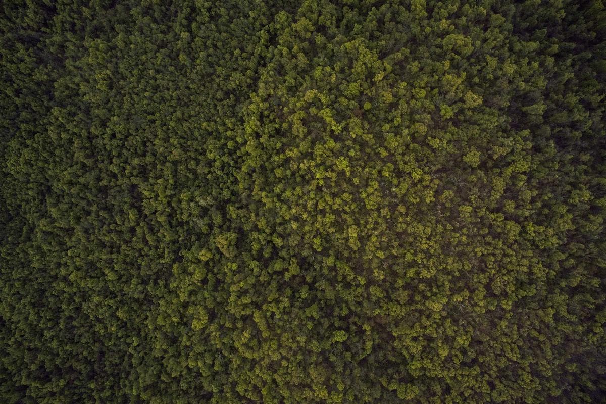 Бухта Стеклянная 5